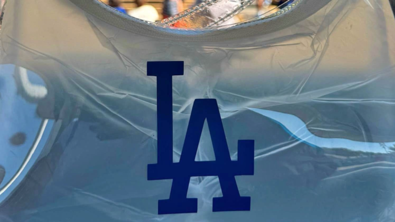 Stadium Approved Clear Shoulder Bag - Sport Teams Inspired